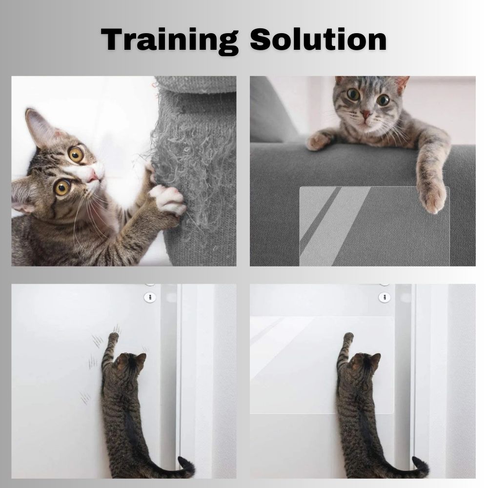 ScratchGuard™ Transparent Furniture Protector