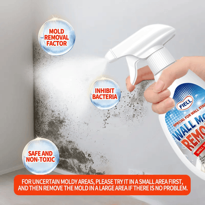 Highly Effective Mould Removal Spray - Prevents Mould Regrowth