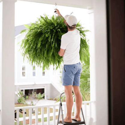 🔥Autumn Celebration Exclusive! 🌿Get the UV-Resistant Lifelike Artificial Boston Fern for Just $9.98 🎁 SAVE 75%!