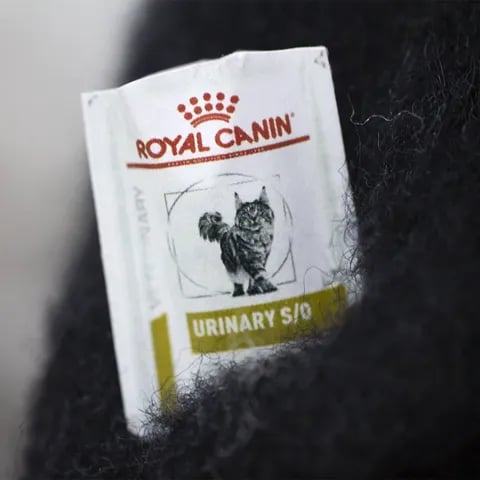 🔥LAST DAY 49% OFF -🎄✨Wool Felt Familiars – Quirky Handmade Companions